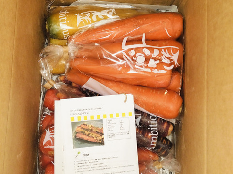 【味の違いを楽しんで！】カラフル人参食べ比べセット（4品種、計3kg)