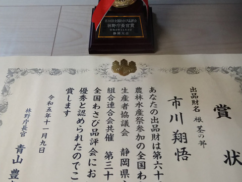 “本物の味“　静岡　梅ヶ島　『わさび』500g　（1本100〜200gサイズ）