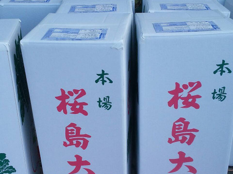 １月〜3月しか食べれない生の桜島大根🌋葉付き1本
桜島大根専用箱で発送します！
