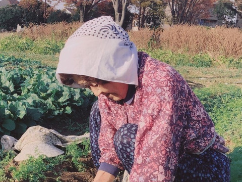 【❗数量限定❗】縁起物✨✨ばぁばのモノスゴイ八つ頭イモ約3.5㎏ 🍠🍠✨✨✨クール便
