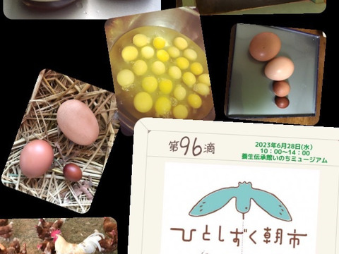 限定販売✨菊池の平飼い有精卵🥚
あっさり美味しい！！（２０個入り）✨