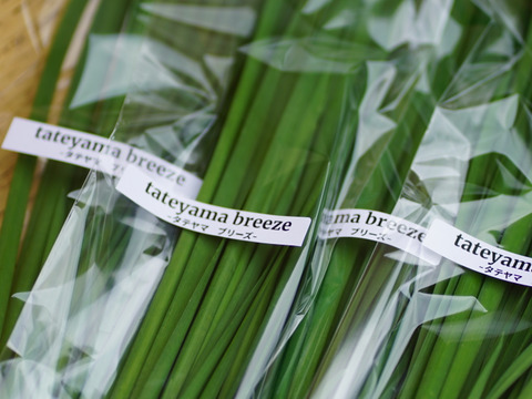 立山連峰の麓　自然豊かな環境で育った甘さと香り豊かなニラ　にら！！栽培期間中農薬、化学肥料不使用　100g×10束 ( 1kg )