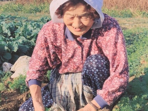 😻ネコ店長おすすめ😽農薬と化学肥料を使わないで育てた野菜セット🐱🐾【数量限定❗❗】（５品目～７品目）😋🍚ばぁばのモノスゴイ野菜🍅🍆🌽✨✨✨