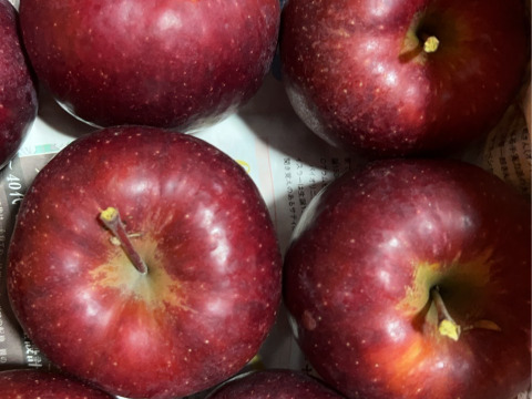 新品種りんご　樹上完熟明秋めいしゅう　約2キロ5-8玉入　家庭用訳あり