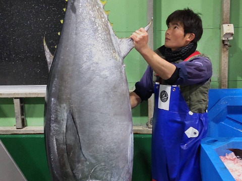 【母の日ギフト】美味しさ無限大🚀みやび鮪の【端っこちゃん3P】マグロの端材300g 小分け🛍使い切りサイズ💛みやび鮪(養殖本鮪)の端材🐟合わせ買いにもおすすめ！