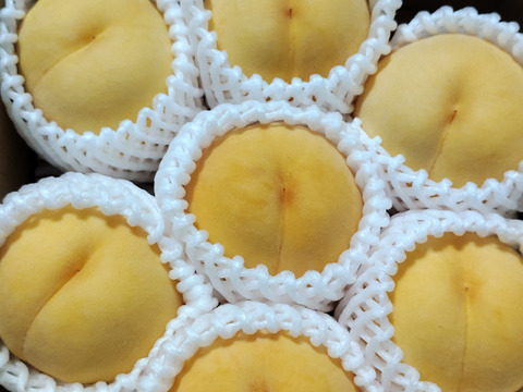 chikape様　プラス送料分込み　家庭用桃2箱　専用ページ chikape様 プラス送料分込み 家庭用桃2箱 専用ページ
