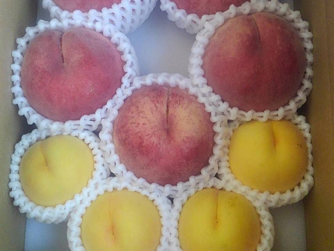 縁起桃‼　魅惑の黄金桃　桃　食べ比べ　山梨の桃　４ｋｇ