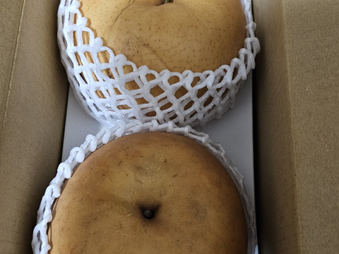【冬ギフト】鳥取県産 あたご梨 2玉入り（約2kg）