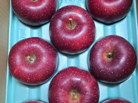 長野生れの希少りんご『シナノホッペ』家庭用約３kg☆硬くて甘くてジューシー！