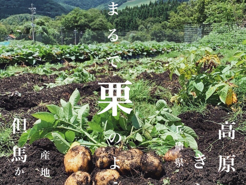 【１人１回だけの特別品】ピーマンとじゃがいも(きたあかり)セット！
【父の日ギフト】