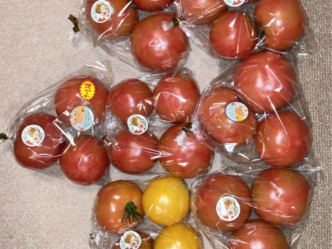 パリッと！新鮮！大玉トマトの2品種ランダムお楽しみセット【6袋】