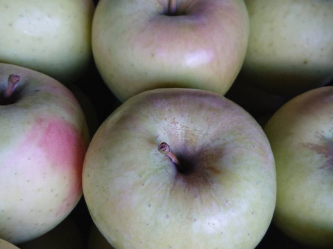 最終です。！「名月約3kg入り」生産者が大好きなりんごです。甘みが強い品種、黄色のボディに頬紅を付けた見た目も愛らしいんですよ。