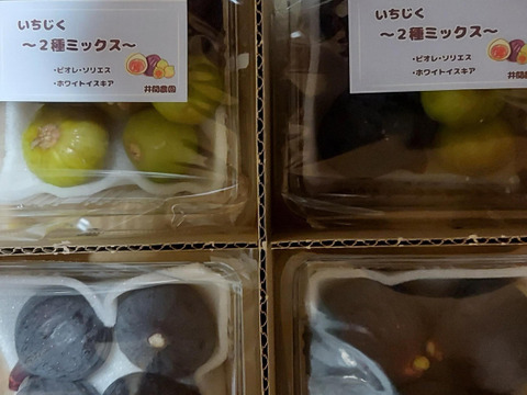 黒いちじくミックス！　いちじく2種ミックス　『ビオレ・ソリエス／ ホワイトイスキア』　約220g×4パック