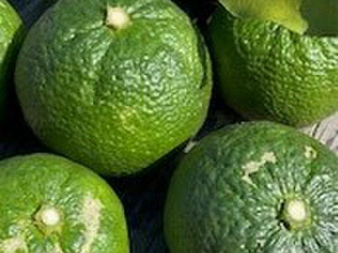 せとうち周防大島　じゃばらマーマレード