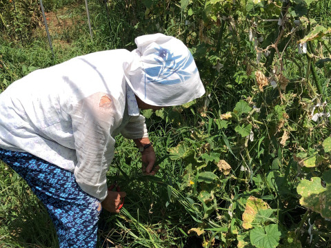 子供に食べさせたい👶👶【数量限定❗❗】旬の枝つき枝豆🍺✨✨✨４㎏❗❗✨✨✨ばぁばのモノスゴイ野菜😋