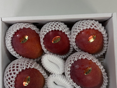 農家直送】宮古島産 完熟アップルマンゴー 贈答用約2kg（4〜6玉
