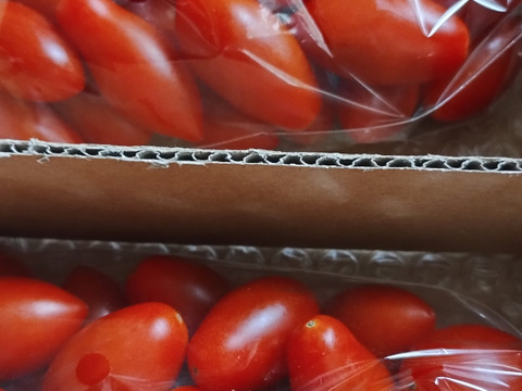 リコピン2倍！高糖度！【シュガープラム】0.7K