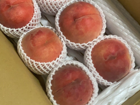 果汁たっぷり！信州産白桃  品種おまかせ 3kg（7～11個）
