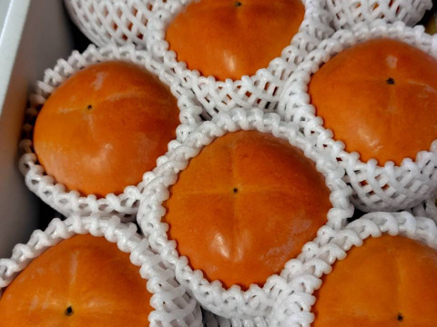 黒ゴマ果肉の紀の川柿【小箱・秀品】和歌山、天空の村