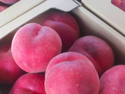 【売り切れ】【限定200セット】3種の桃だより第5弾（食べチョク公式）