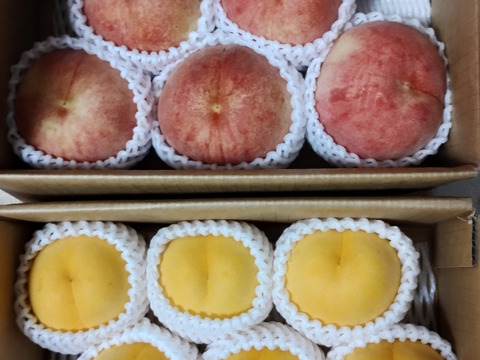 【数量限定】桃ファン必見！お得な桃訳あり品🍑4kg詰め合わせ！(2kg×2)