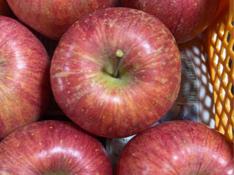 大玉3キロ7-9玉入　樹上完熟葉取らずサンふじ　農薬半減栽培で安心安全！