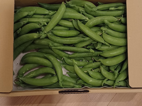 スナップエンドウ900g