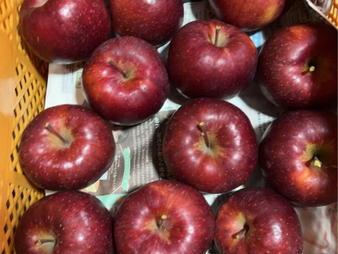 新品種りんご　樹上完熟明秋めいしゅう　約2キロ5-8玉入　家庭用訳あり