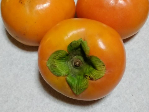 【贈り物＆ご自宅用/１０kg】吉野の富有柿/〜豊かな土と太陽から〜自然な甘みとみずみずしさが違います！