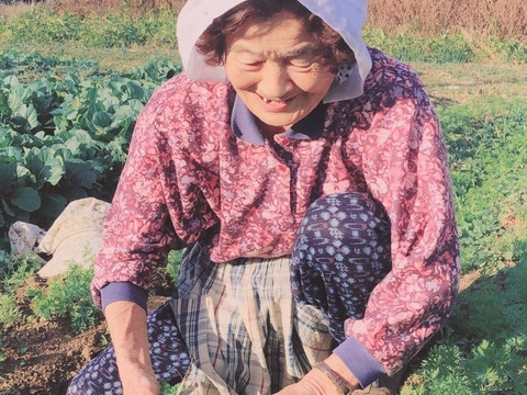 クール便対応❗❗食いしん坊万歳❗❗【数量限定❗❗】ばぁばのモノスゴイ野菜と新米コシヒカリ2㎏と果物1㎏のセット🍊🍊🍊⤴⤴