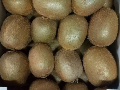 キウイフルーツ約2kg   健康・美容・元気に大活躍