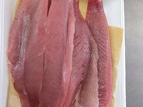 【冬ギフト】ヨコワ(ヨコ)クロマグロの子刺身柵、フライ用セット