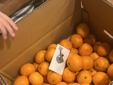 5キロ箱　濃厚小玉みかん(家庭用)【和歌山県有田産みかん】