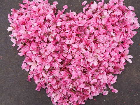 ☆山梨県産桃　食べよう！（3キロ箱使用）