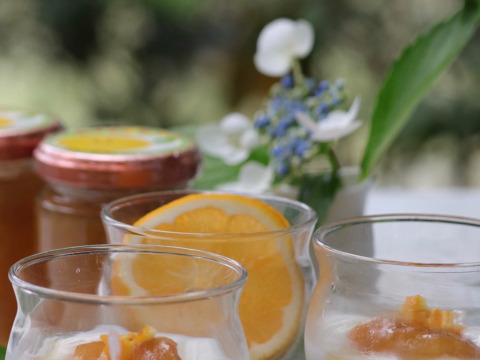 ☆健康酢⭐
有機三年熟成八丈島レモン黒酢❣
黒酢200ml&レモンジャン限定品