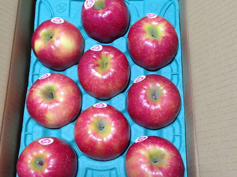 発送中🍎 ピンクレディー®︎3キロ箱 長野県 信州 安曇野 リンゴ 幻 幻