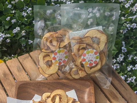 無添加りんごチップス40ｇ×６袋