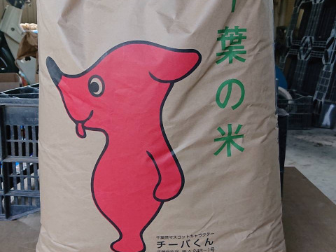 千葉県産新品種　『粒すけ』　オヤジの米　限定4袋