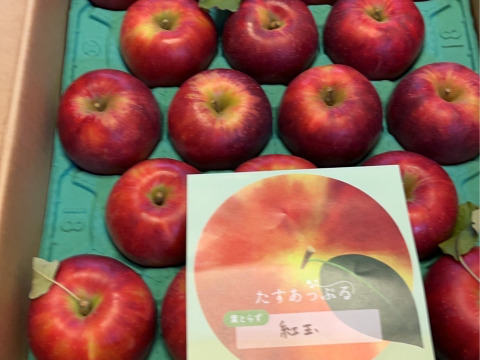葉とらず　紅玉　約4.5kg【2025年産】