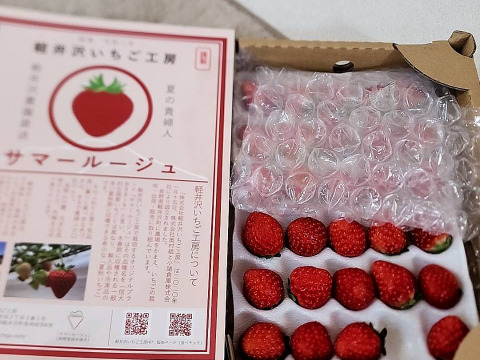 【Mサイズ ６０粒 】★ 軽井沢産 夏秋いちご 「サマールージュ（信大BS8-9）」 産地直送 生いちご 通常箱（段ボール素材）での発送となります。