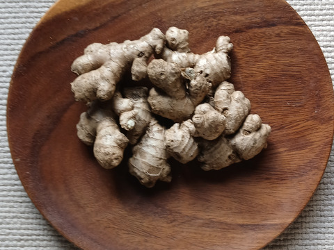 【親生姜】【約１キロ】農薬化学肥料不使用の房州中太生姜