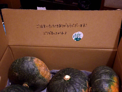 【ワケアリ】北海道産甘くてホクホクな南瓜　１０キロ