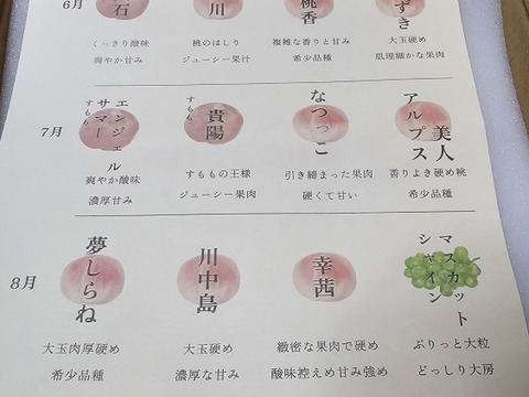 【7月上旬お届け】桃好き必見！桃のリレーが楽しめる！季節の【桃】おうち用（もも）お試しセット 約2kg 約5~6玉
