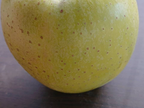 昔懐かし「王林」約3kg入り（名月も甘いけど王林の香りと甘さもぜひ！）お試し下さいませ。