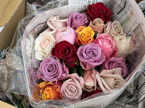 ご家庭用大特価バラのアソート