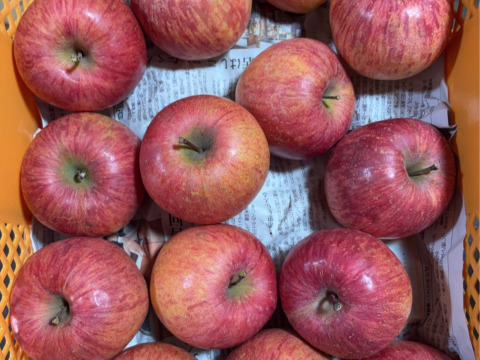 大玉3キロ7-9玉入　樹上完熟葉取らずサンふじ　農薬半減栽培で安心安全！