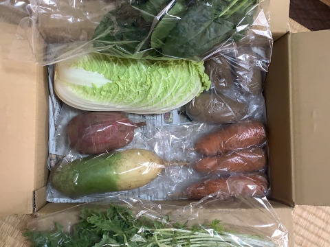 【くさぶえ農園】旬＊お試し野菜セット(6品目)