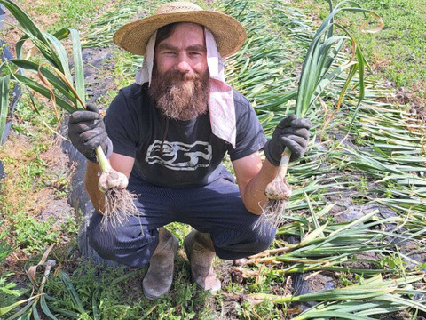 ホクホクで甘いホワイト六辺ニンニク！1kg【栽培期間中農薬・化学肥料不使用】