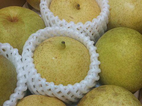 ＜ご家庭用＞『なつしずく』爽やかな香と味　２㎏以上