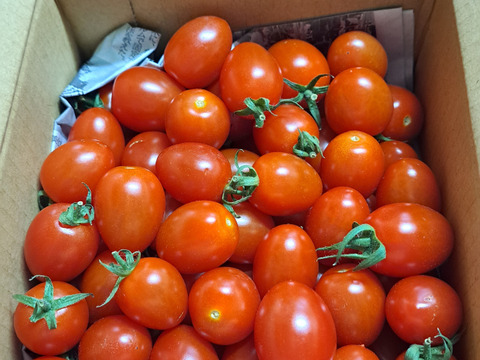 『訳ありA品・アイコ♪』1kg箱:ヘタあり・ヘタ無しランダム♪ちょうどいい酸味と甘味あり満足